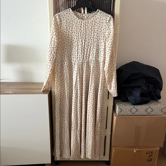 Zara Polka Dot Dress